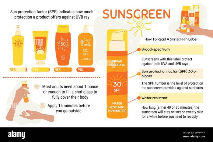 Sun Protection Smarts: The Best SPF Products for All Seasons